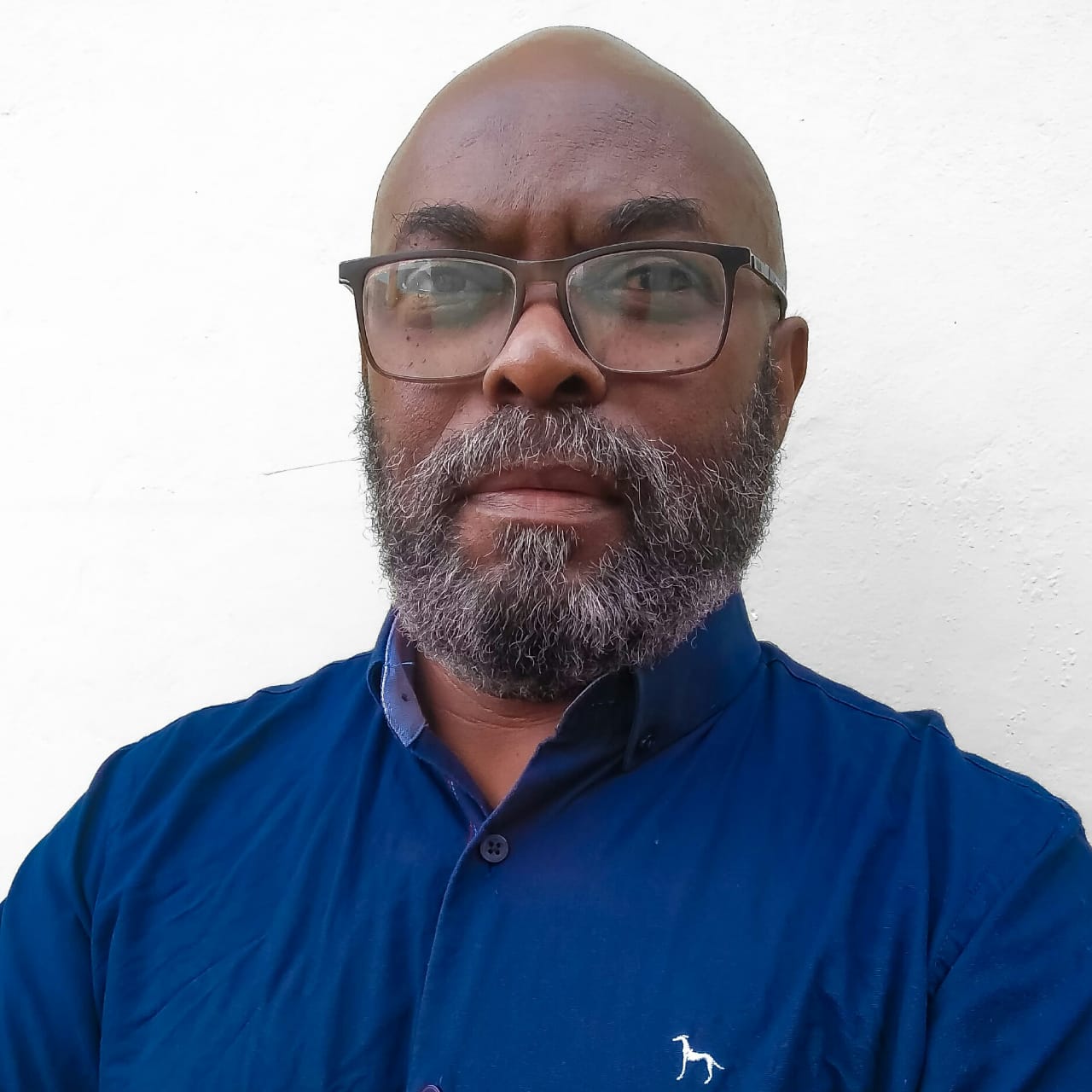 Carlos Silva — Responsável Técnico